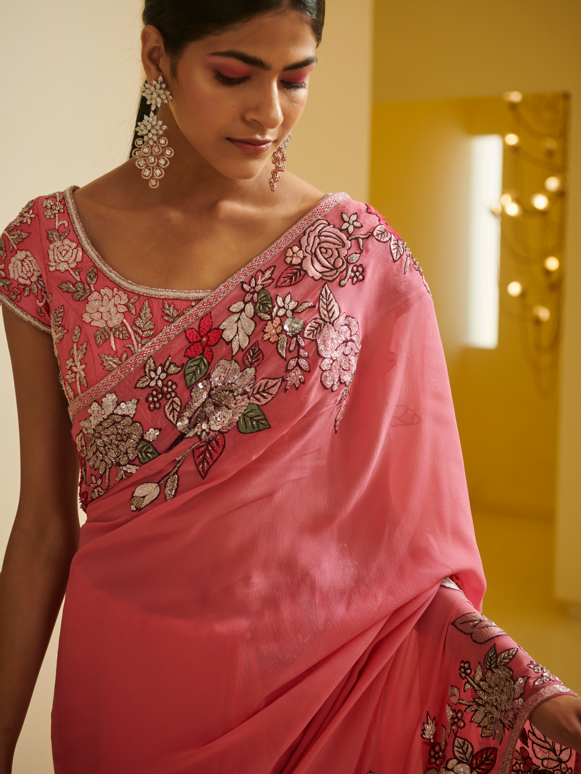 Border Embroidered Saree With Blouse